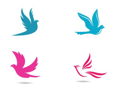 Dove Logo Şablonu vektör resimleme tasarımı