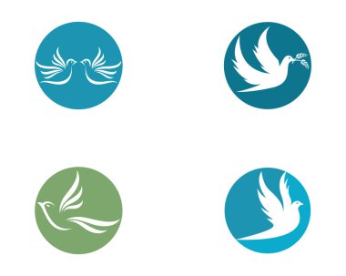 Dove Logo Şablonu vektör resimleme tasarımı