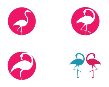 Flamingo logo şablon vektör resimleme tasarımı