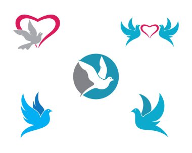 Dove Logo Şablonu vektör resimleme tasarımı