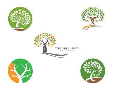 Yeşil yapraklı ekoloji doğa element ikonu logoları