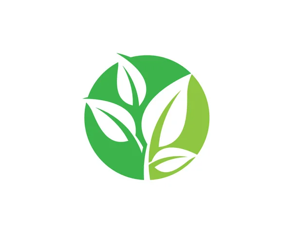 Logotipos Ecología Hoja Verde Naturaleza Elemento Vector Icono — Archivo Imágenes Vectoriales