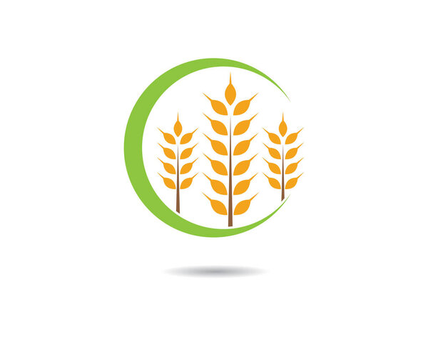 Дизайн векторного логотипа сельскохозяйственной пшеницы