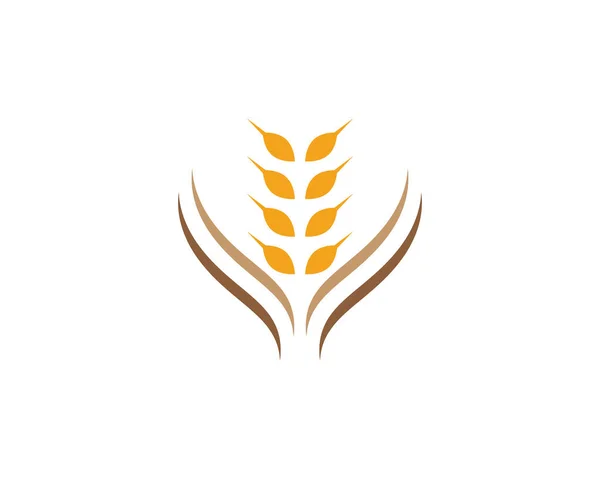 Agricultura Trigo Logotipo Plantilla Vector Icono Diseño — Archivo Imágenes Vectoriales