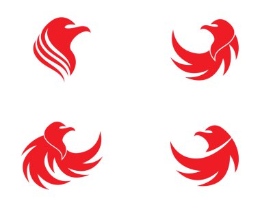 Kartal logo şablon vektör simgesi
