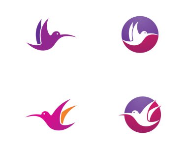 Hummingbird logo şablonu vektör resimleme tasarımı