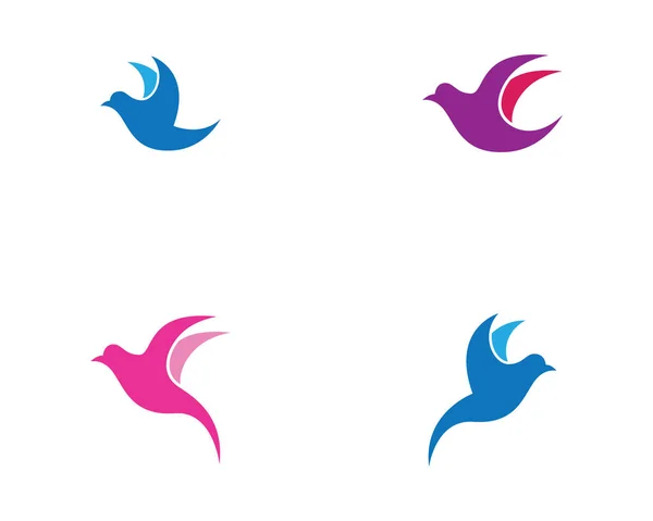 Голубний Шаблон Логотипу Векторний Дизайн Ілюстрації — стоковий вектор