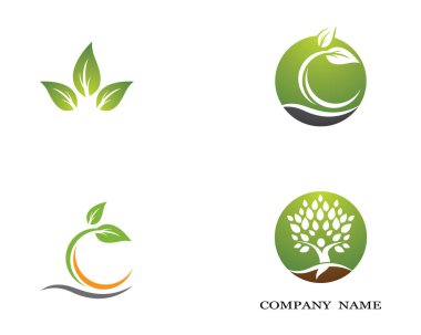 Yeşil yapraklı ekoloji doğa element ikonu logoları
