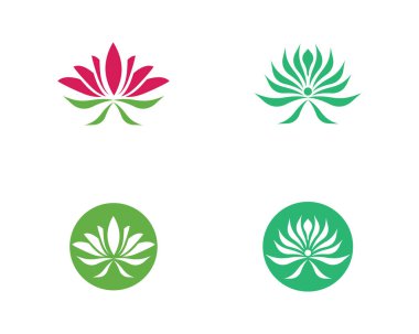 Güzellik lotusu logo resim çizimi tasarımı