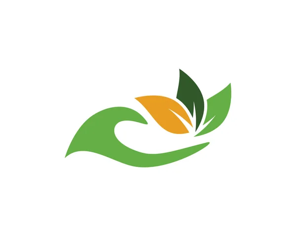 Logo Ekologiczne Obrazy Projekt Ilustracji — Wektor stockowy