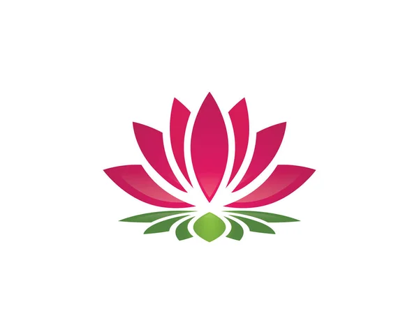 Schönheit Lotus Logo Bilder Illustration Design — Stockvektor