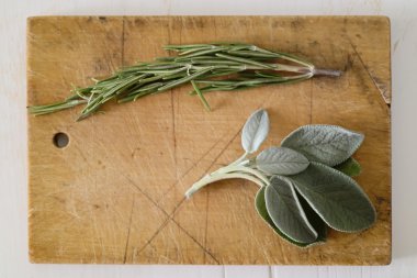 Two fresh green mediterranean herbs rosemary branch and sage lea