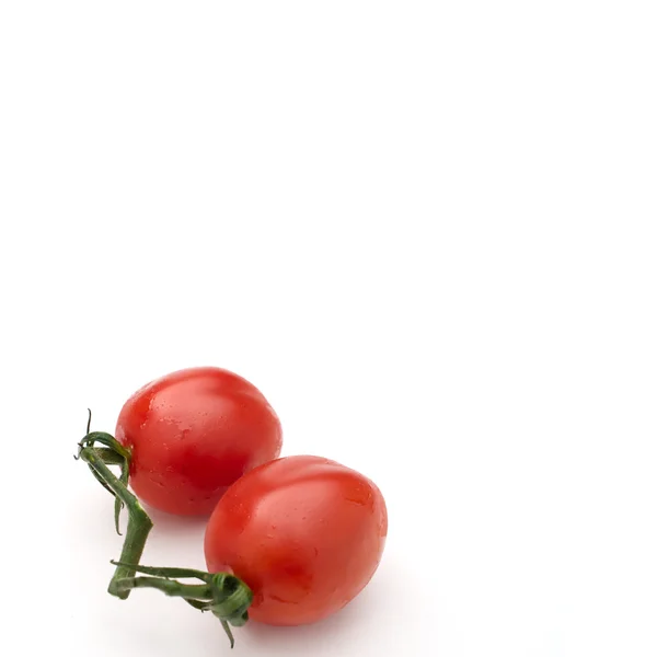 Two cherry tomatos on a branch isolated on a pure white backgrou — Stock Photo, Image