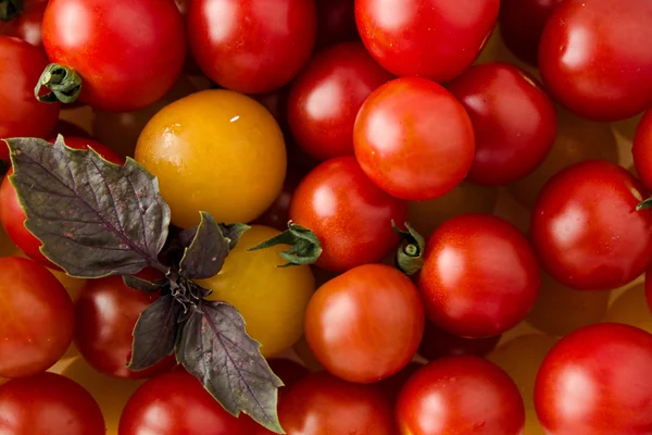 स्वादिष्ट ताजे, शाकाहारी, लाल आणि पिवळा परिपक्व चेरी टोमॅटो — स्टॉक फोटो, इमेज