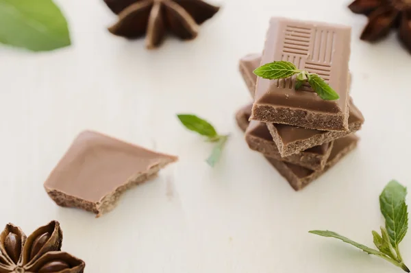 Stack of chocolate bar pieces with mint on  white — Stock Photo, Image