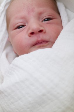 Newborn baby boy looking at camera in white cloth diaper