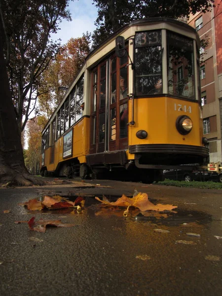 Żółty Tramwaj Jesienią Mediolanie — Zdjęcie stockowe