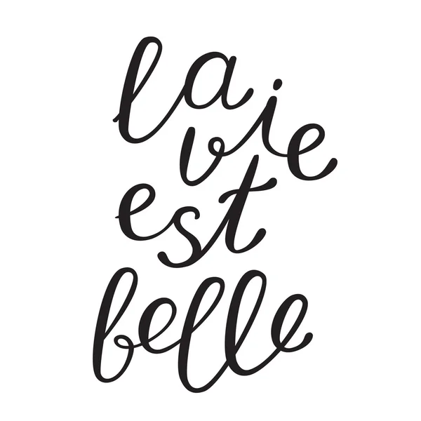 La vie est bell, la vita è bella in francese . — Vettoriale Stock