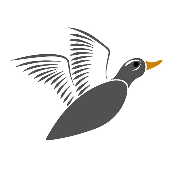 Desenho de pato selvagem voador no fundo branco. — Vetor de Stock