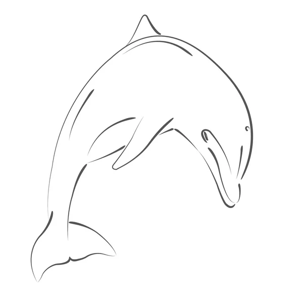 Sketched jumping dolphin. — Stock Photo, Image