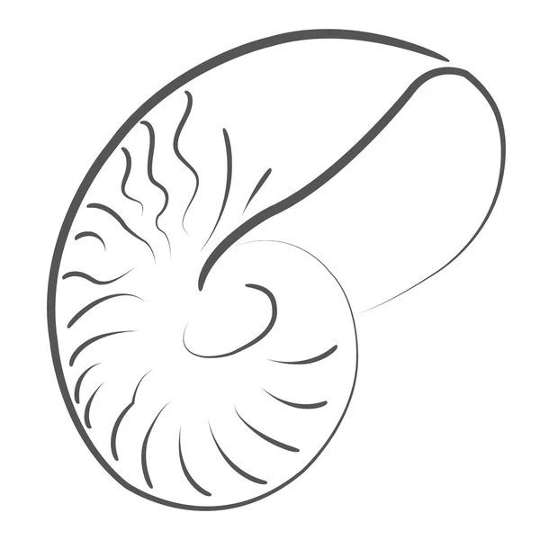 Sketched seashell. — Stock Photo, Image