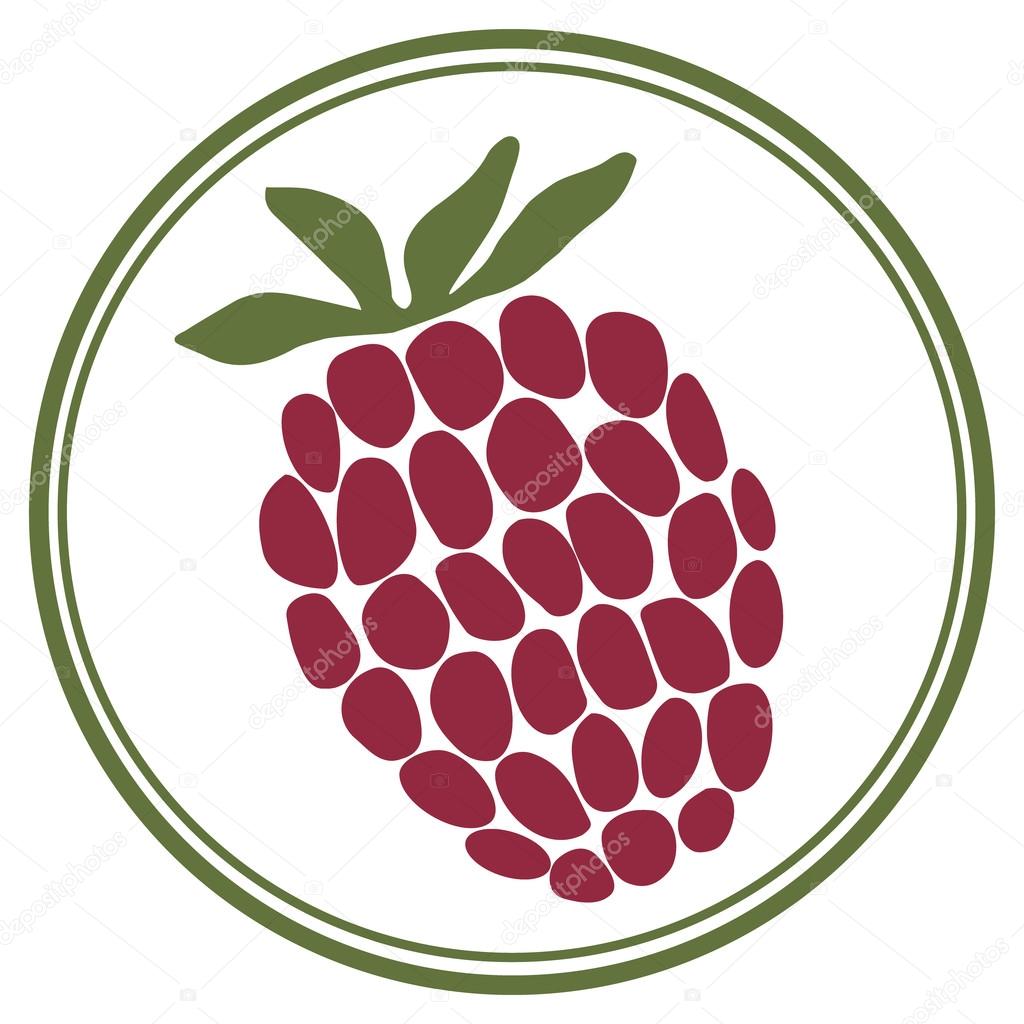 Raspberry label. Design template for label or logo. Vector.