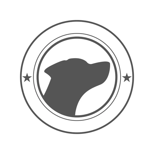 Kutya kisállat logó. — Stock Fotó