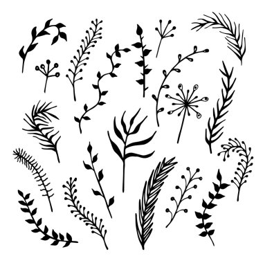 Çizilmiş dalları el.