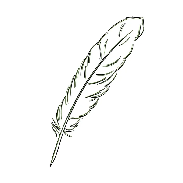 Feather sketch illustration. — Stock Vector