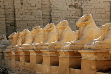 Koç başlı Sfenks. Karnak Tapınağı. Luksor, Mısır