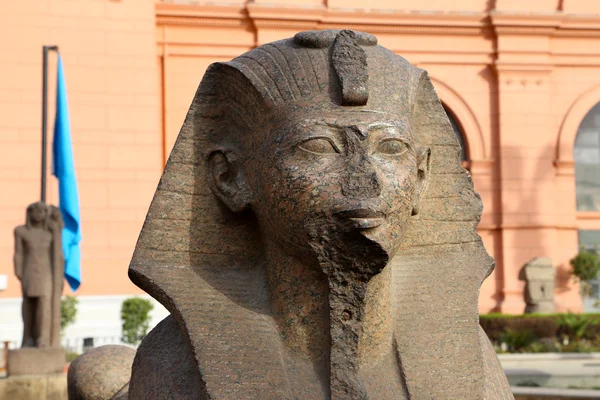 Kahire Mısır Müzesi'nde Sfenks, yakın çekim