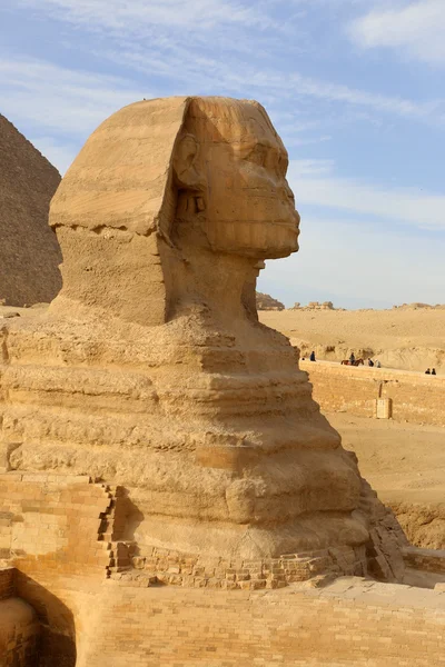 Profil av sfinxen, Giza, Egypten — Stockfoto
