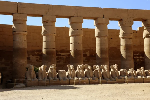 Esfinges cabeça de carneiro. Templo Karnak. Luxor, Egito — Fotografia de Stock