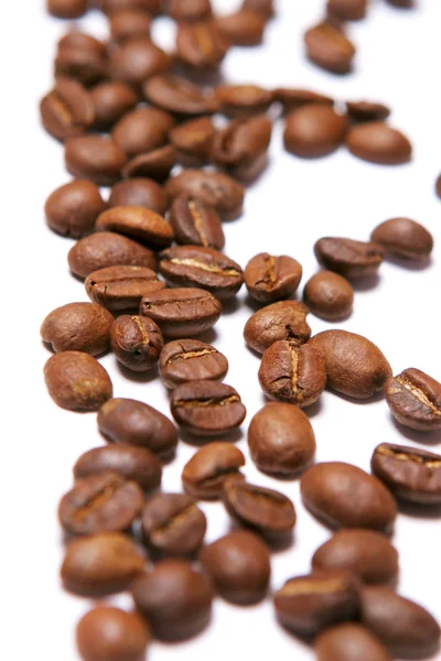 Beyaz dikey arka plan olarak üzerine kavrulmuş kahve çekirdekleri