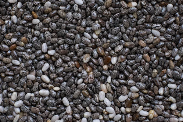 Closeup of Chia seeds — Stock Photo, Image