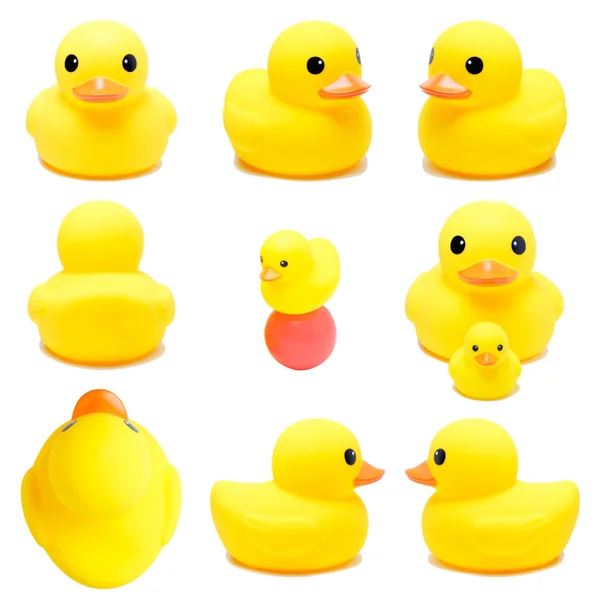 Collection of yellow rubber duck — ストック写真