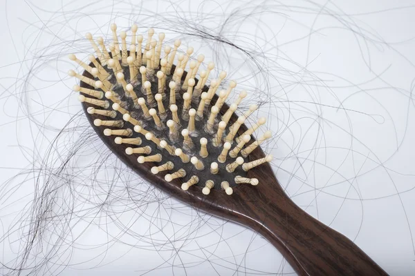 Problema de pérdida de cabello en bruch, sobre fondo blanco — Foto de Stock