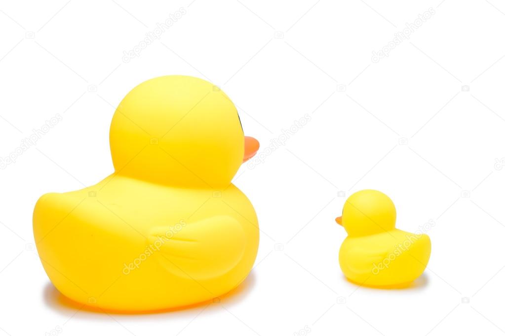Yellow rubber duck toy in isolate white background
