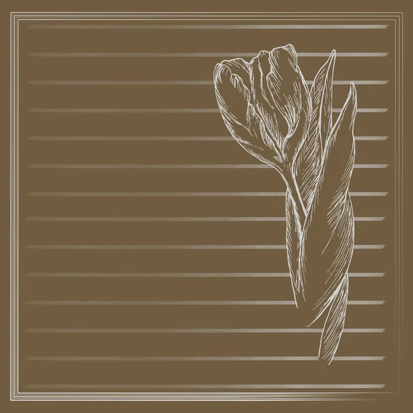 Graphic flower, sketch of tulip on brown background. Vector floral illustration in vintage style. Hand drawn artwork. Template for wedding invitation, card, congratulation, greeting. Place for text. — Stock Vector