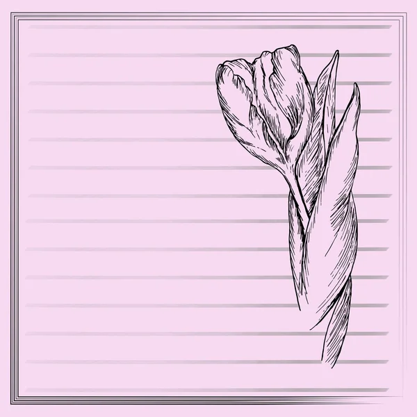 Graficzny kwiat, szkic tulipana na różowym tle. Wektor kwiatowy ilustracji w stylu Vintage. Ręcznie rysowane dzieła sztuki. Szablon zaproszenia ślubne, karta, gratulacja, pozdrowienia. Miejsce na tekst. — Wektor stockowy