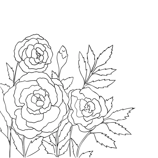 Gyönyörű Rózsa izolált fehér háttér. Kézzel rajzolt vektor illusztráció virágokkal. Retro virágos kártya. Romantikus finom csokor. Design elem. Kontúr vonalak és körvonalak. Színezés oldal. — Stock Vector