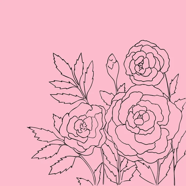 Lindas rosas isoladas em fundo rosa. Ilustração vetorial desenhada à mão com flores . — Vetor de Stock