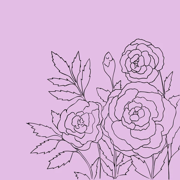 Vackra rosor isolerade på ljuslila bakgrund. Handritad vektor illustration med blommor. Lila retro blommig kort. Romantisk delikat bukett. Element för design. Kontur linjer och linjer. — Stock vektor