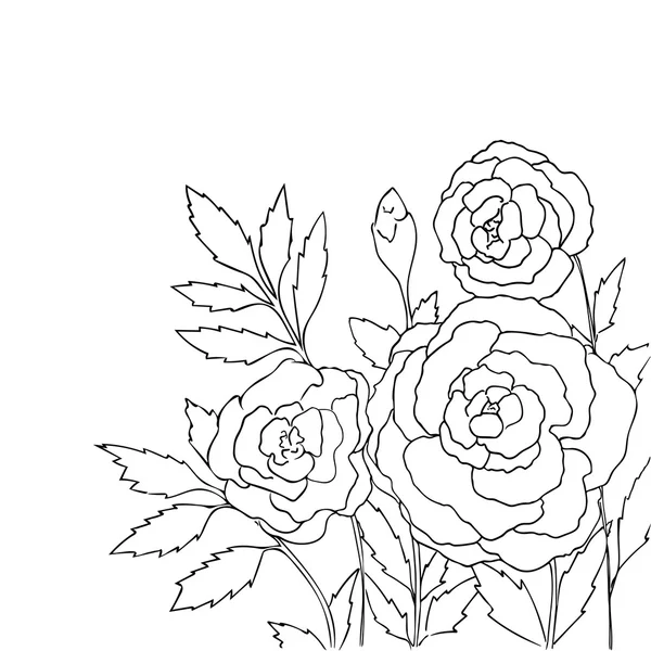 Piękne róże wyizolowane na białym tle. Ręcznie rysowane wektor ilustracji z kwiatami. Retro kwiatowy karty. Romantyczny delikatny bukiet. Element do projektowania. Linie konturu i obrysy. Strona kolorystyka. — Wektor stockowy
