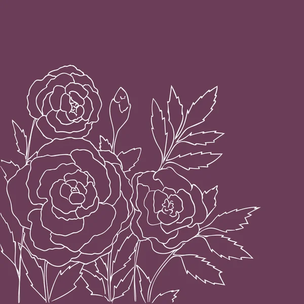 Překrásné růže izolované na purpurovém pozadí. Ručně kreslené vektorové ilustrace s květinami. Růžovou retro-květinovou kartu. Romantická delikátní kytice. Prvek pro návrh. Čáry a tahy obrysu. — Stockový vektor