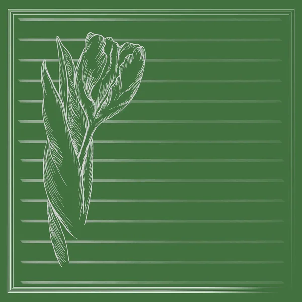 Grafikusvirág, tulipánvázlatos zöld háttérrel. Vector virágos illusztráció Vintage stílusban. Kézzel rajzolt grafika. Sablon esküvői meghívó, kártya, szerencsekívánat, köszöntés. Szöveghely. — Stock Vector