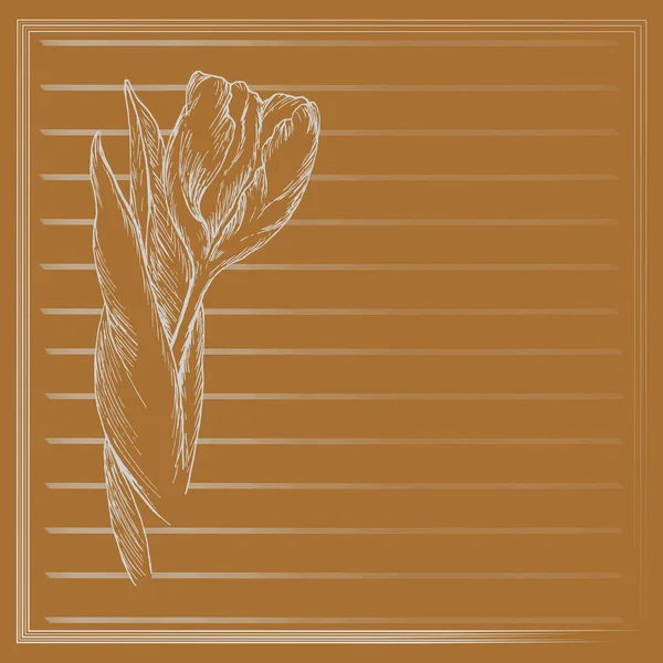 Grafikus virág, tulipán narancssárga háttérben vázlat. Vektor virág illusztráció vintage stílusban. Kézzel rajzolt grafika. Sablon kártya, szerencsekívánat, esküvői meghívó, üdvözlőlap. Hely a szöveg. — Stock Vector