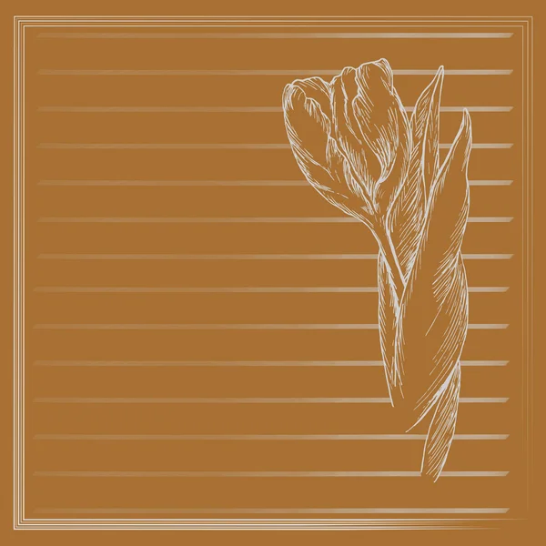 Graphic flower, sketch of tulip on orange background. Vector floral illustration in vintage style. Hand drawn artwork. Template for wedding invitation, card, congratulation, greeting. Place for text. — Stock Vector