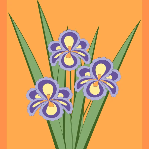 Vector illustration of bouquet of iris flowers. Card of purple abstract flowers with leaves on the orange background. — Stock Vector