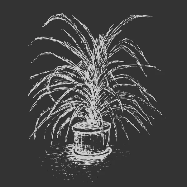 Casa planta en maceta aislada sobre fondo gris oscuro. Bosquejo de tinta de palmera. Elementos de diseño dibujado a mano. Imitación de pizarra. Ilustración vectorial en blanco y negro . — Archivo Imágenes Vectoriales